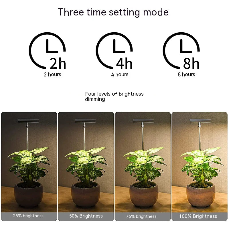 Angel Ring Plant Lamp USB – Full Spectrum LED Grow Light for Modern Spaces