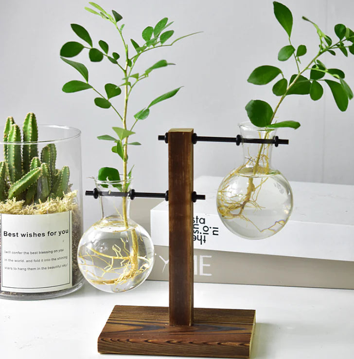 Modern Hydroponic Glass Vase – Minimalist Transparent Planter for Elegant Home Décor