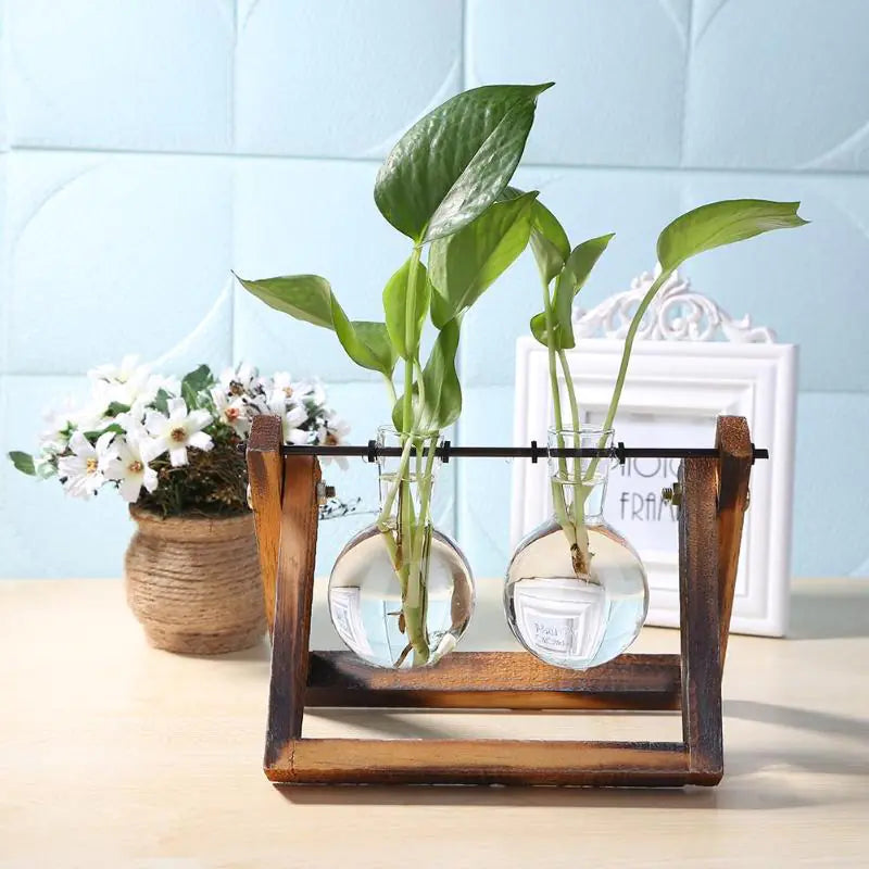 Glass and Wood Vase Planter – Modern Tabletop Décor for Natural Minimalist Home Styling