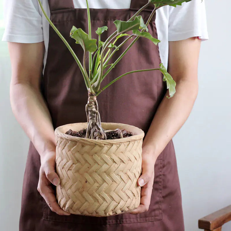 Faux Bamboo Cement Flower Pot – Rustic Handcrafted Planter for Sustainable Boho Home Décor