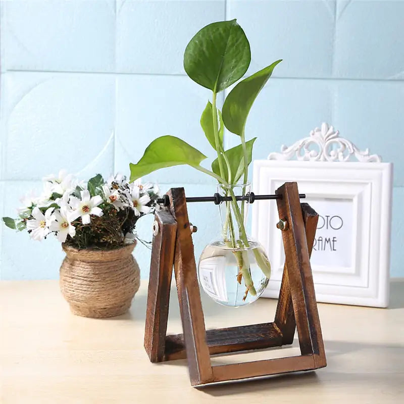 Glass and Wood Vase Planter – Modern Tabletop Décor for Natural Minimalist Home Styling