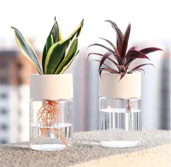 Transparent Hydroponic Pot – Small Glass Planter for Modern Minimalist Home Décor