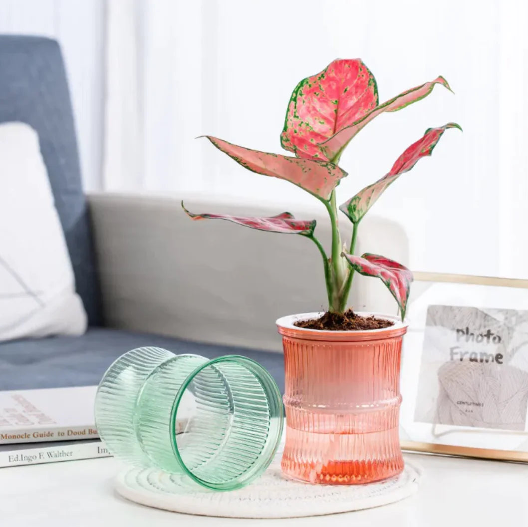 Self-Watering Mini Pots – Transparent Planters for Modern Minimalist Home Décor