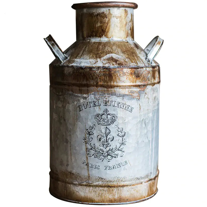 Rusty Iron Bucket Flower Pot – Vintage Metal Planter for Rustic Boho & Modern Farmhouse Décor
