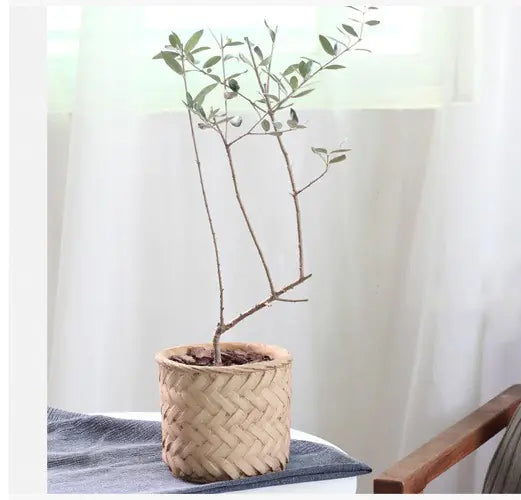 Faux Bamboo Cement Flower Pot – Rustic Handcrafted Planter for Sustainable Boho Home Décor