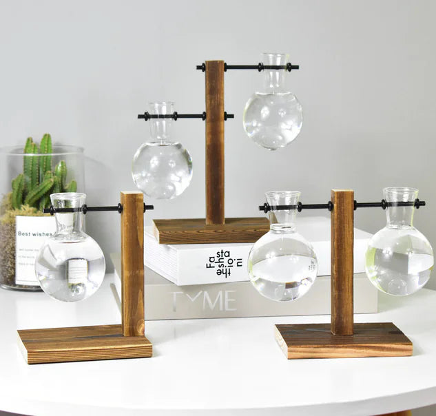 Modern Hydroponic Glass Vase – Minimalist Transparent Planter for Elegant Home Décor