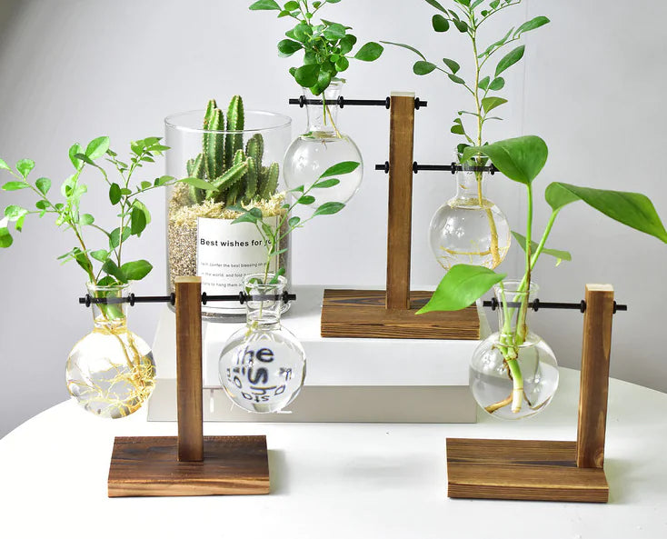 Modern Hydroponic Glass Vase – Minimalist Transparent Planter for Elegant Home Décor