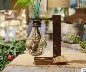 Modern Hydroponic Glass Vase – Minimalist Transparent Planter for Elegant Home Décor