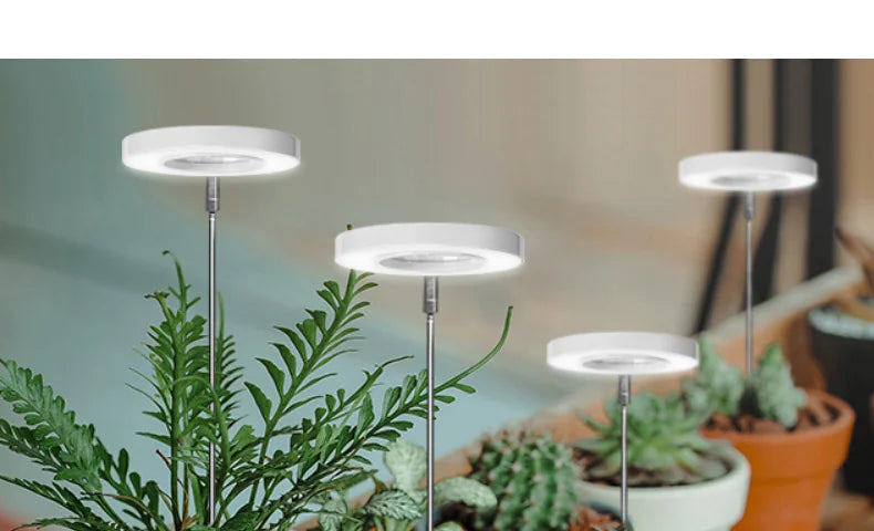 Angel Ring Plant Lamp USB – Full Spectrum LED Grow Light for Modern Spaces
