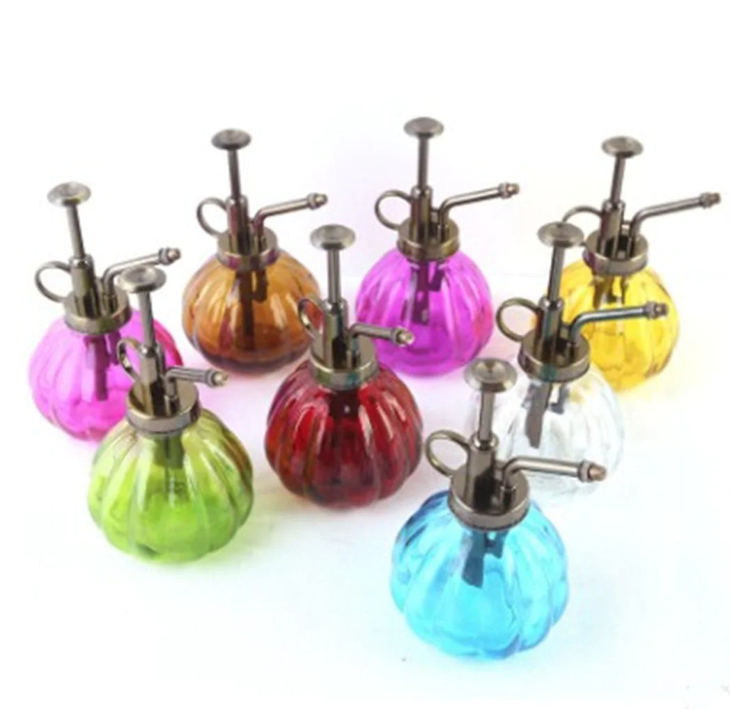 Glass Plant Mister & Watering Bottle – Dual-Purpose Spray and Pour Design for Modern Home Décor