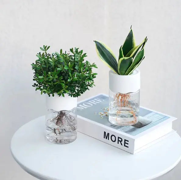 Transparent Hydroponic Pot – Small Glass Planter for Modern Minimalist Home Décor