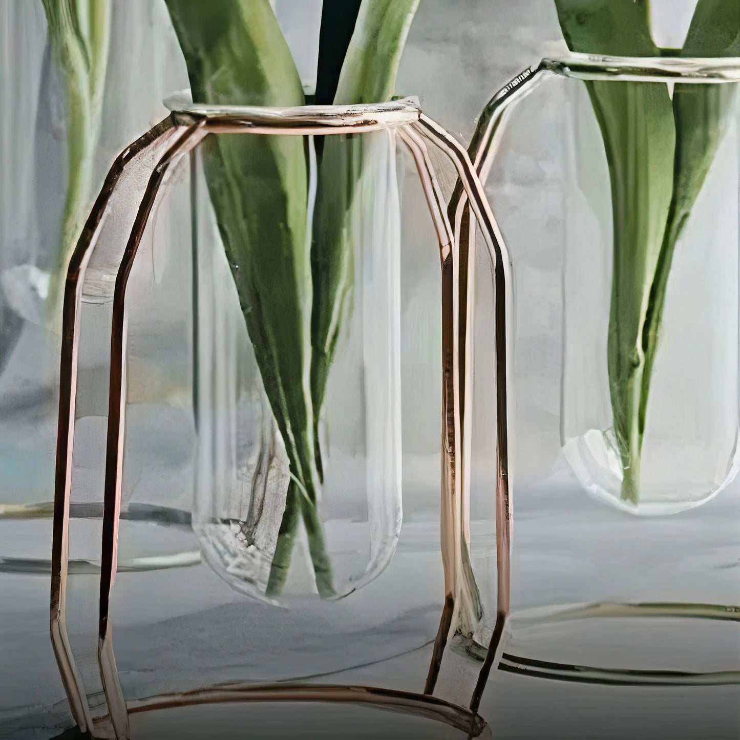 Glass Vase with Iron Frame – Modern Minimalist Planter for Elegant Home & Office Décor