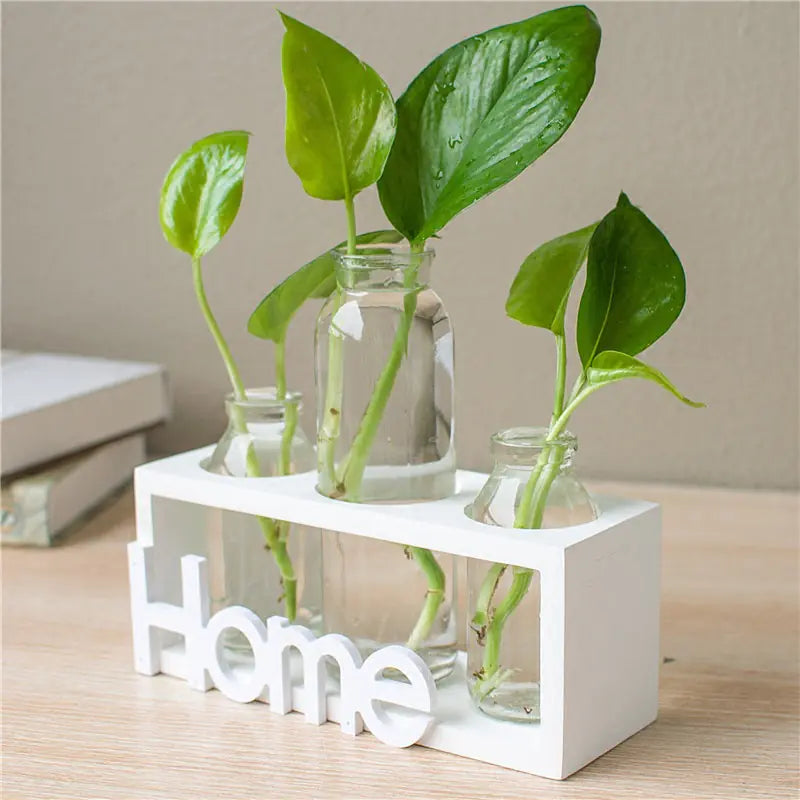 Transparent Glass Hydroponic Vase – Wooden Accent Planter for Modern Minimalist Home Décor