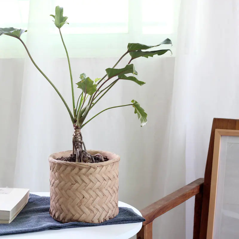 Faux Bamboo Cement Flower Pot – Rustic Handcrafted Planter for Sustainable Boho Home Décor