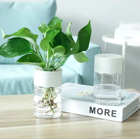 Transparent Hydroponic Pot – Small Glass Planter for Modern Minimalist Home Décor