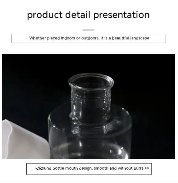 Transparent Hydroponic Pot – Small Glass Planter for Modern Minimalist Home Décor