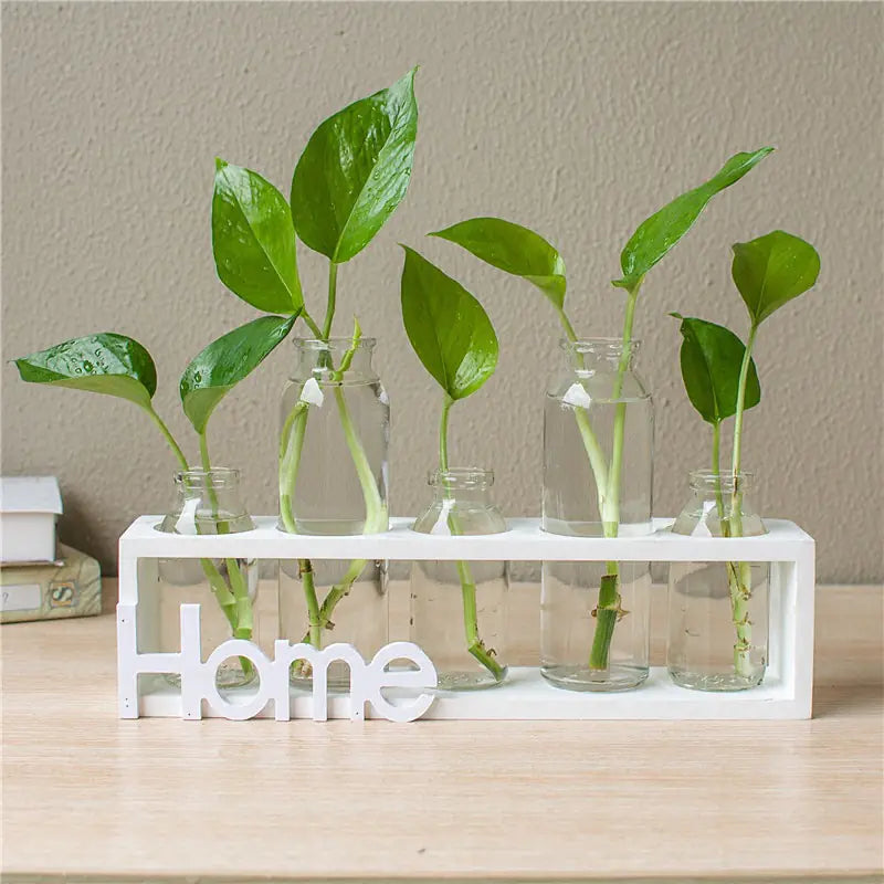 Transparent Glass Hydroponic Vase – Wooden Accent Planter for Modern Minimalist Home Décor