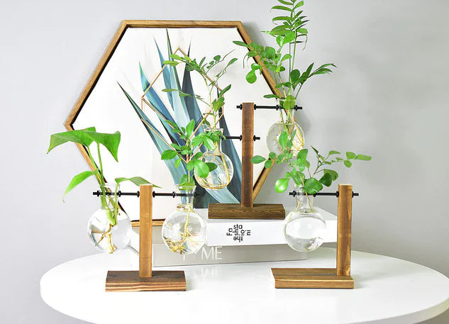 Modern Hydroponic Glass Vase – Minimalist Transparent Planter for Elegant Home Décor