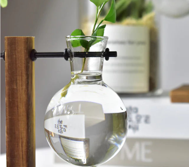 Modern Hydroponic Glass Vase – Minimalist Transparent Planter for Elegant Home Décor