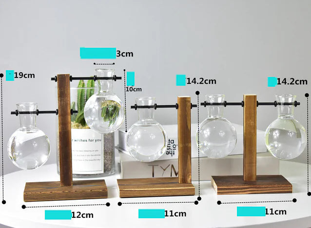Modern Hydroponic Glass Vase – Minimalist Transparent Planter for Elegant Home Décor