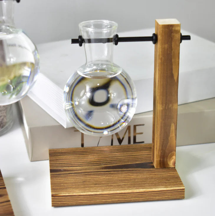Modern Hydroponic Glass Vase – Minimalist Transparent Planter for Elegant Home Décor