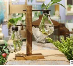 Modern Hydroponic Glass Vase – Minimalist Transparent Planter for Elegant Home Décor