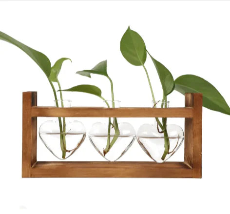 Heart-Shaped Glass Vase with Wooden Stand – Romantic Modern Hydroponic Planter for Elegant Home Décor