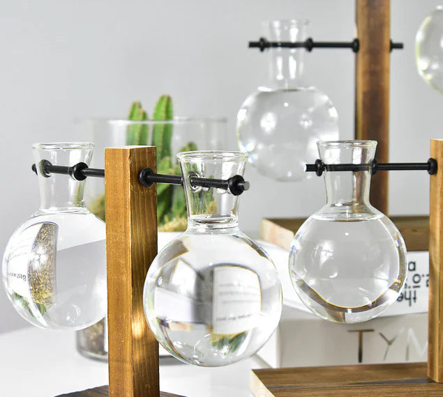 Modern Hydroponic Glass Vase – Minimalist Transparent Planter for Elegant Home Décor