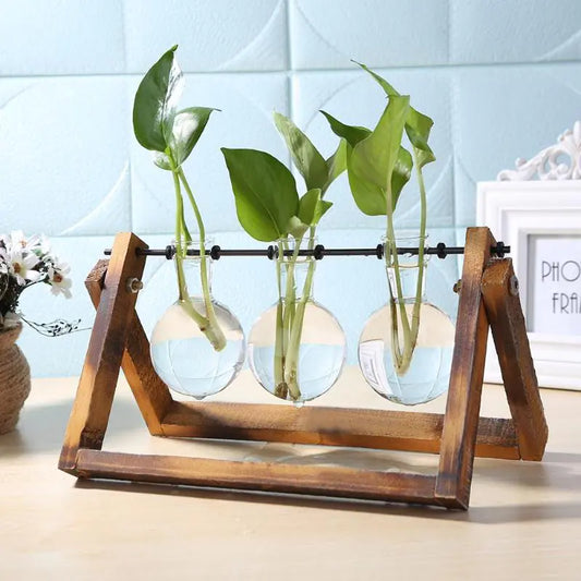 Glass and Wood Vase Planter – Modern Tabletop Décor for Natural Minimalist Home Styling