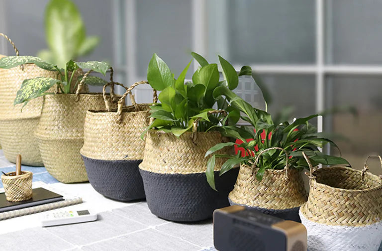 Handwoven Seagrass Basket – Boho Basket Planter & Storage Décor for Modern Natural Homes