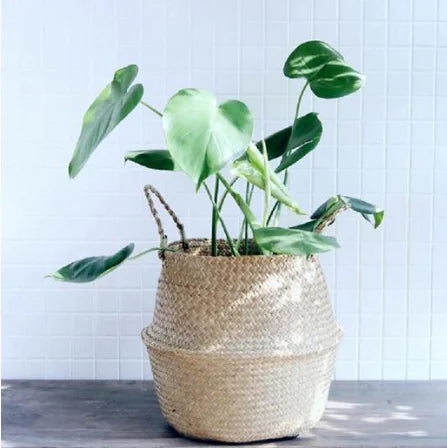 Handcrafted Woven Flower Pots – Natural Boho Baskets for Elegant Home Décor & Storage