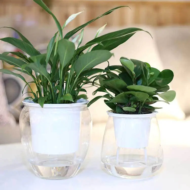 Transparent Self-Watering Flowerpot – Modern PET Planter for Effortless Indoor Gardening