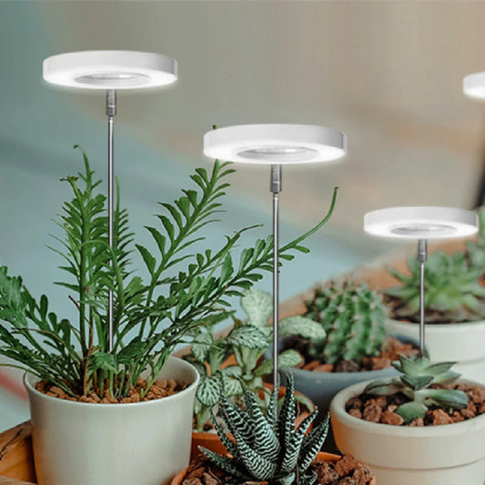 Angel Ring Plant Lamp USB – Full Spectrum LED Grow Light for Modern Spaces