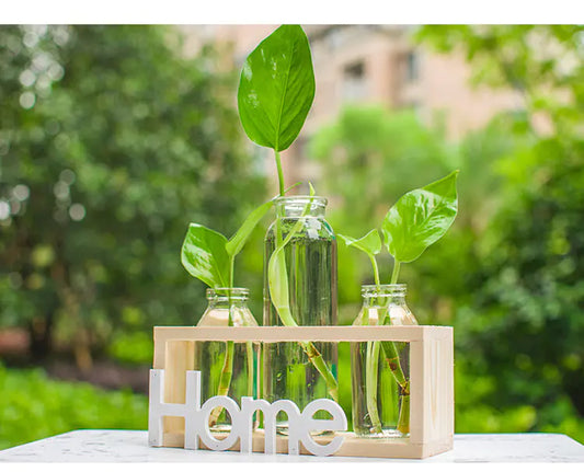 Transparent Glass Hydroponic Vase – Wooden Accent Planter for Modern Minimalist Home Décor