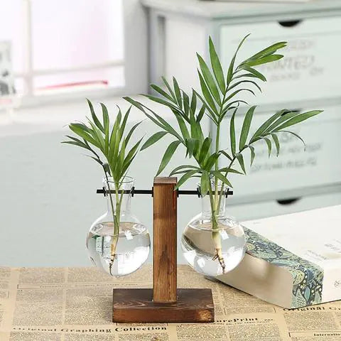 Modern Hydroponic Glass Vase – Minimalist Transparent Planter for Elegant Home Décor
