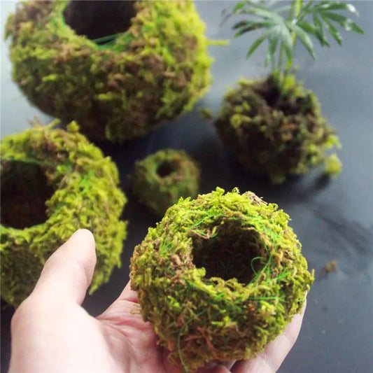 Decorative Moss Ball Planter – Handmade Kokedama Garden Pot for Tranquil Boho Home Décor